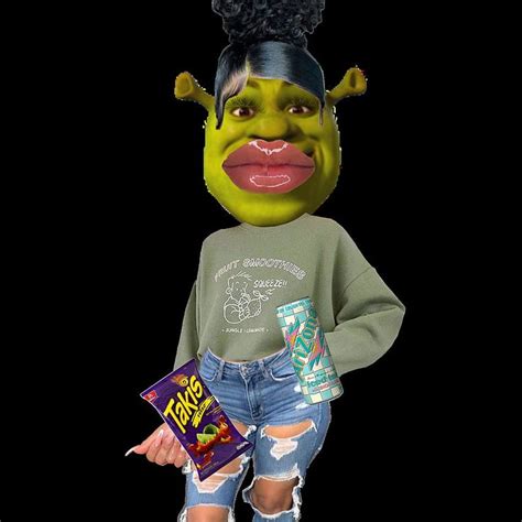 shrek material girl|material girl shrek pictures.